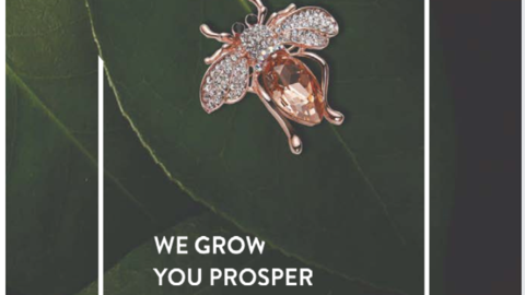 We grow your prosper - The story of LaBrilliante
