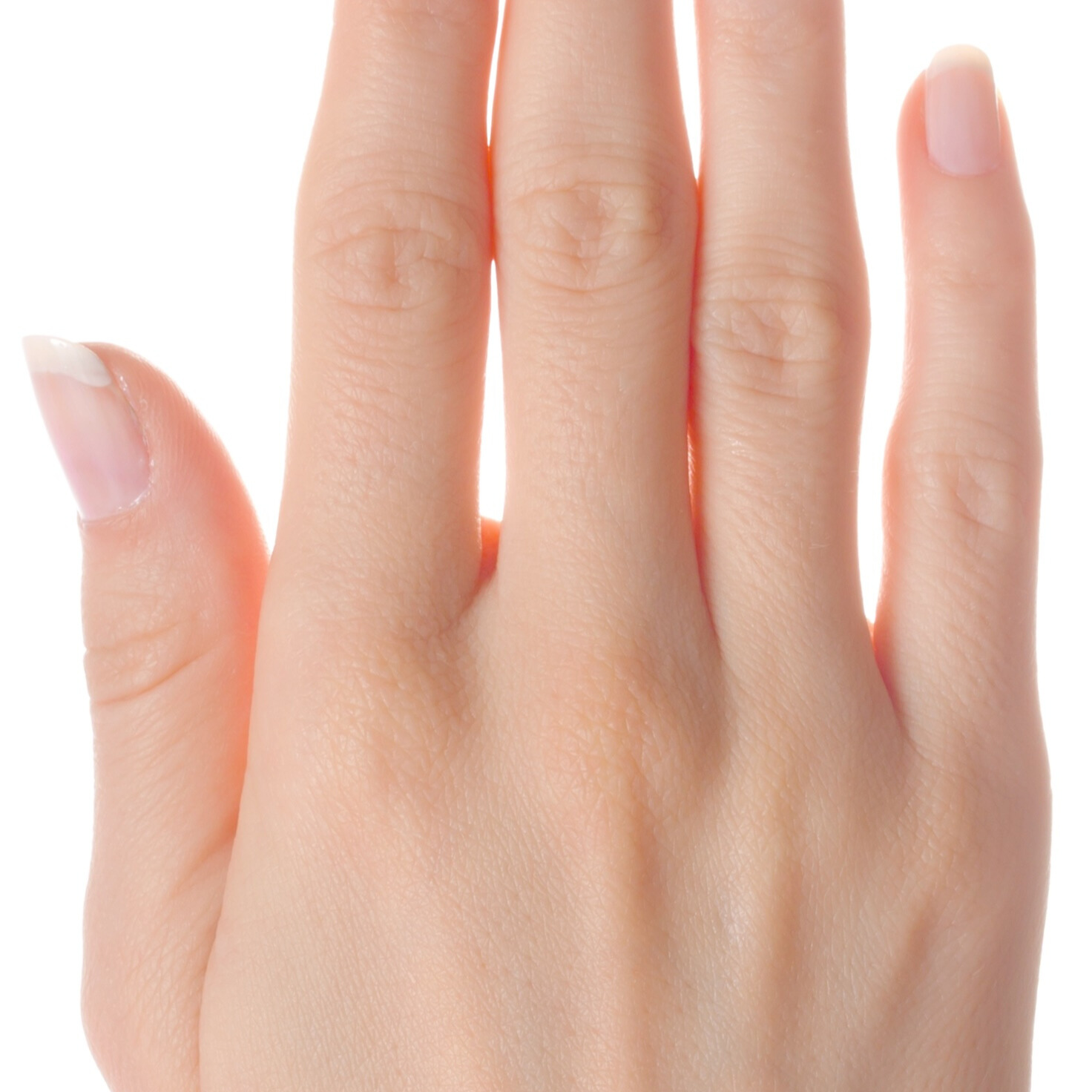Hand model